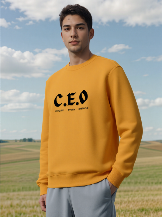 Men sweatshirt